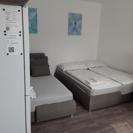 Nové Město nad Metují Angel Apartman מראה חיצוני תמונה